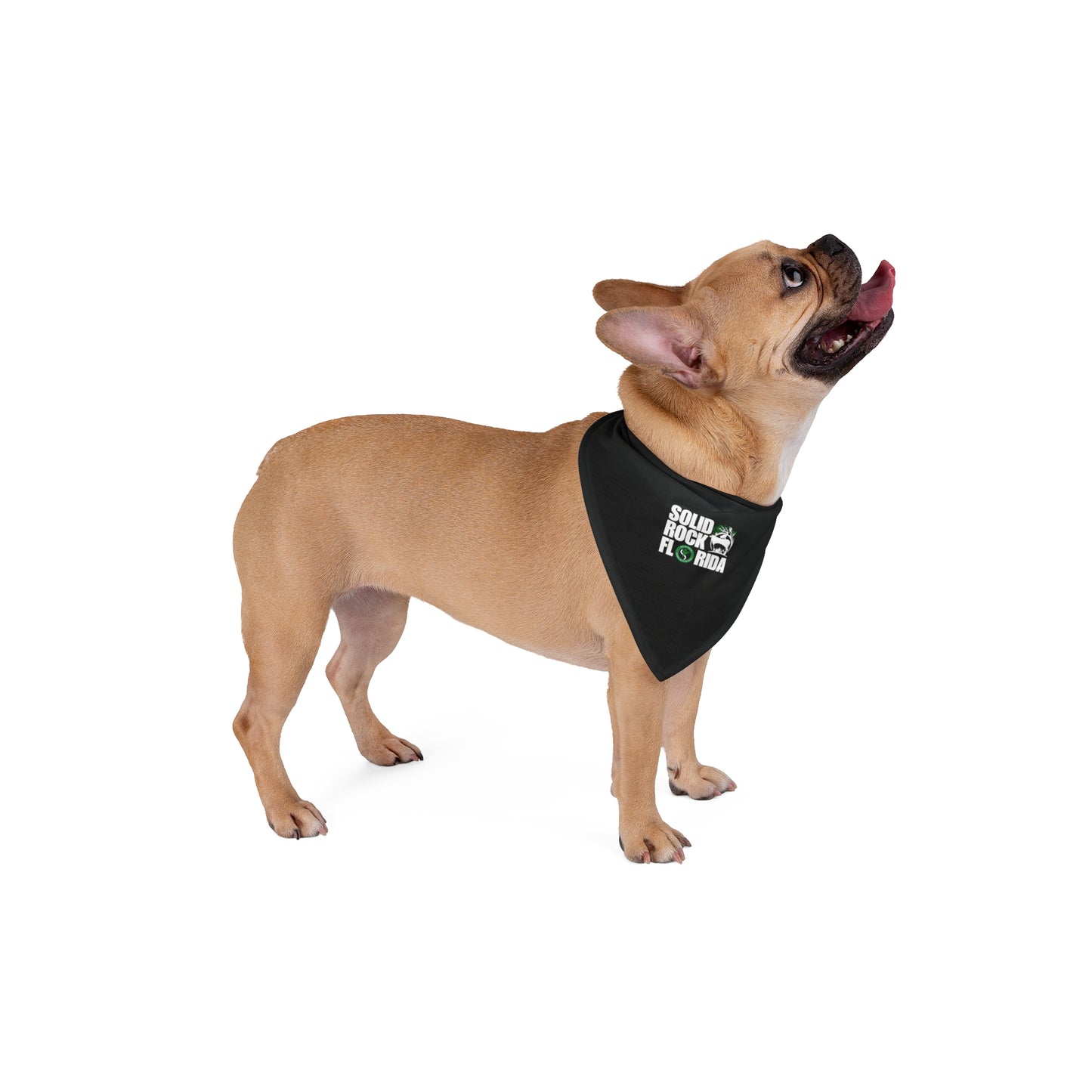 Solid Rock Pet Bandana