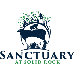 Sanctuary at Solid Rock