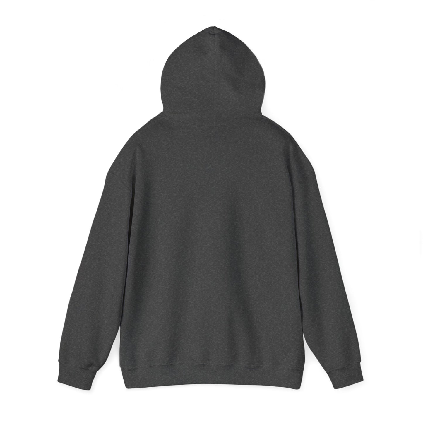 Sea Shepard Heavy Blend™ Hooded Sweatshirt