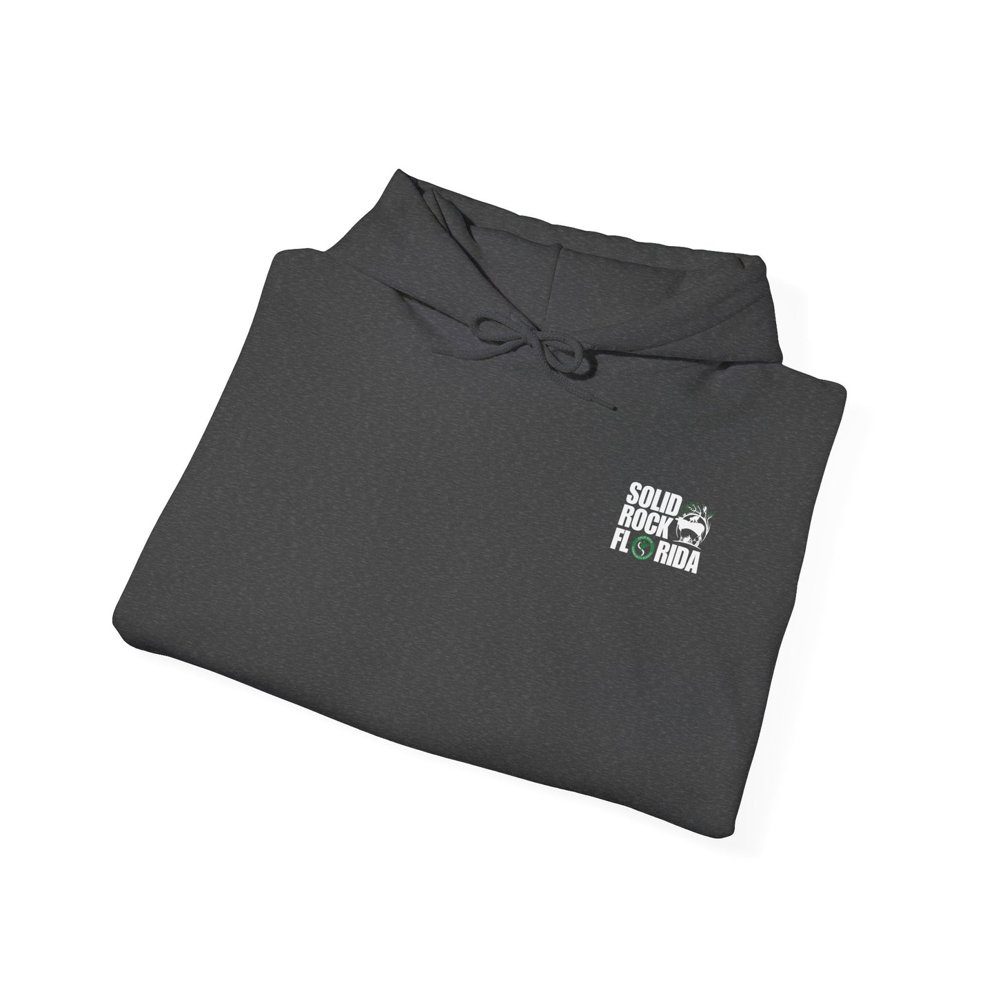 Solid Rock Hooded Sweatshirt